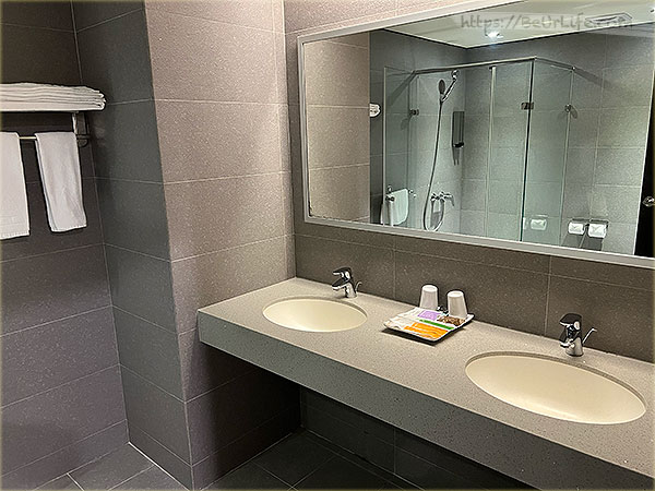 桃禧航空城酒店-新館 含桃園機場免費接送 - 雙人洗手台