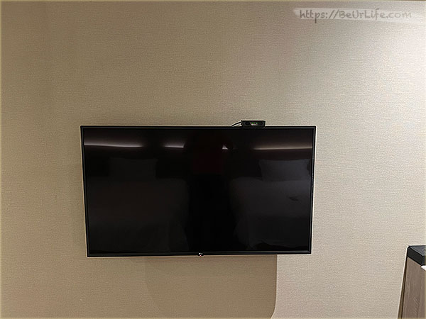 桃禧航空城酒店-新館 含桃園機場免費接送 - 牆面電視