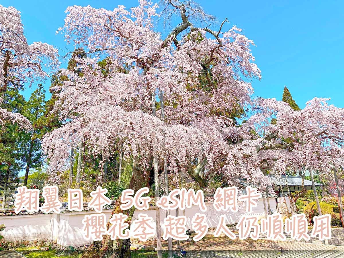 翔翼通訊 日本 5G eSIM：櫻花季/環球影城 超多人仍可以順順使用